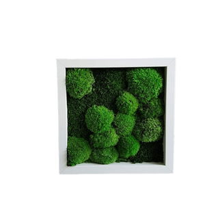 Tablou din muschi bombat 3030 cm - casă & stil de viață - accesorii pentru decorat casa - decorațiuni de pereți, decorațiuni suspendate - tablou cu licheni - Artynos.ro