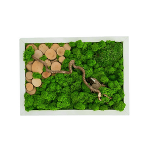 Tablou din licheni 3025 cm, Casa & Stil de viata, Accesorii pentru decorat casa, Decoratiuni de pereti, decoratiuni suspendate, Tablou cu licheni, Altele, ARTYNOS