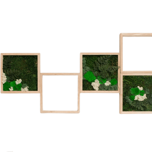 Tablouri din licheni 3030 cm SET - casă & stil de viață - accesorii pentru decorat casa - decorațiuni de pereți, decorațiuni suspendate - tablou cu licheni - Artynos.ro