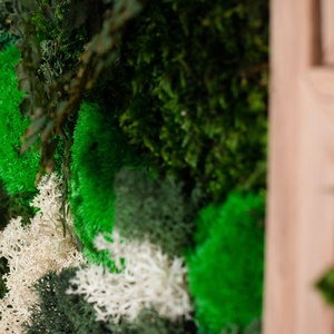 Tablouri din licheni 3030 cm SET - casă & stil de viață - accesorii pentru decorat casa - decorațiuni de pereți, decorațiuni suspendate - tablou cu licheni - Artynos.ro