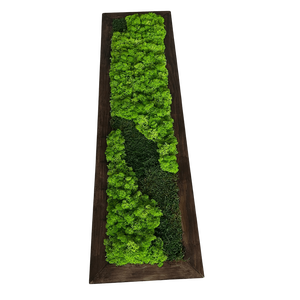 Tablou cu licheni stabilizati 100�20 cm - casă & stil de viață - decorațiuni de casă - decorațiuni de pereți - tablou cu licheni - Artynos.ro