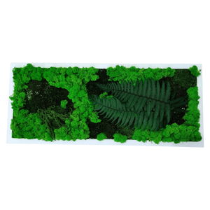 Tablou din licheni 7030 cm, Casa & Stil de viata, Accesorii pentru decorat casa, Decoratiuni de pereti, decoratiuni suspendate, Tablou cu licheni, Altele, ARTYNOS