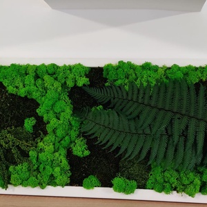 Tablou din licheni 7030 cm - casă & stil de viață - accesorii pentru decorat casa - decorațiuni de pereți, decorațiuni suspendate - tablou cu licheni - Artynos.ro