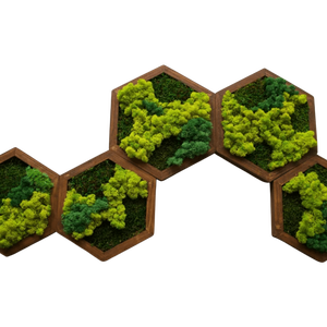 Hexagon din licheni 25 cm, Casa & Stil de viata, Accesorii pentru decorat casa, Decoratiuni de pereti, decoratiuni suspendate, Tablou cu licheni, Altele, ARTYNOS