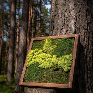 Tablouri cu licheni 4040 cm, Casa & Stil de viata, Accesorii pentru decorat casa, Decoratiuni de pereti, decoratiuni suspendate, Tablou cu licheni, Altele, ARTYNOS