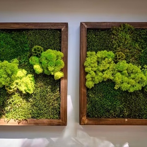 Tablouri cu licheni 4040 cm - casă & stil de viață - accesorii pentru decorat casa - decorațiuni de pereți, decorațiuni suspendate - tablou cu licheni - Artynos.ro