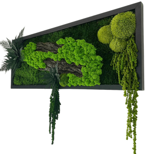 Tablou cu licheni stabilizati 7030 cm, Casa & Stil de viata, Accesorii pentru decorat casa, Decoratiuni de pereti, decoratiuni suspendate, Tablou cu licheni, Altele, ARTYNOS