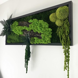 Tablou cu licheni stabilizati 7030 cm - casă & stil de viață - accesorii pentru decorat casa - decorațiuni de pereți, decorațiuni suspendate - tablou cu licheni - Artynos.ro