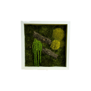 Tablou cu licheni stabilizati 3030 cm, Casa & Stil de viata, Accesorii pentru decorat casa, Decoratiuni de pereti, decoratiuni suspendate, Tablou cu licheni, Altele, ARTYNOS