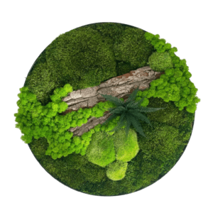 Cerc din licheni peisaj Ø 50 cm, Casa & Stil de viata, Accesorii pentru decorat casa, Decoratiuni de pereti, decoratiuni suspendate, Tablou cu licheni, Altele, ARTYNOS