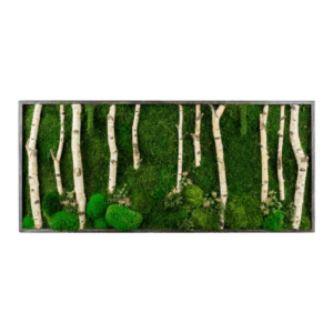 Tablou cu licheni stabilizati 10050 cm, Casa & Stil de viata, Accesorii pentru decorat casa, Decoratiuni de pereti, decoratiuni suspendate, Tablou cu licheni, Altele, ARTYNOS