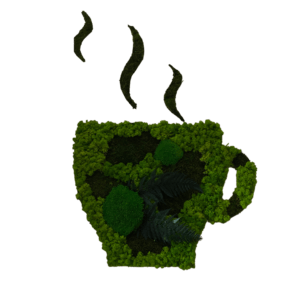 Ceasca din licheni stabilizati 5040 cm - casă & stil de viață - accesorii pentru decorat casa - decorațiuni de pereți, decorațiuni suspendate - tablou cu licheni - Artynos.ro