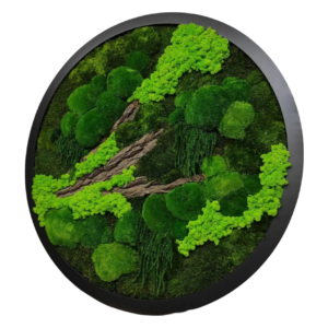 Cerc cu licheni peisaj Ø 80 cm, Casa & Stil de viata, Accesorii pentru decorat casa, Decoratiuni de pereti, decoratiuni suspendate, Tablou cu licheni, Altele, ARTYNOS