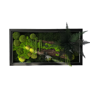 Tablou cu licheni stabilizati si led 8040 cm - casă & stil de viață - accesorii pentru decorat casa - decorațiuni de pereți, decorațiuni suspendate - tablou cu licheni - Artynos.ro