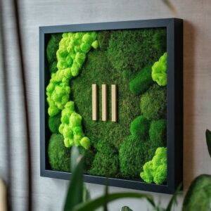 Tablou cu licheni stabilizati 5050 cm, Casa & Stil de viata, Accesorii pentru decorat casa, Decoratiuni de pereti, decoratiuni suspendate, Tablou cu licheni, , ARTYNOS