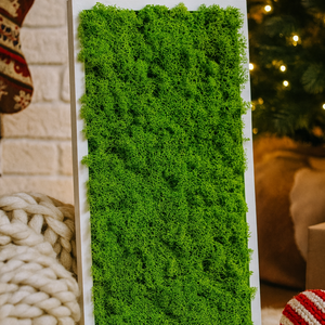 Tablou cu licheni stabilizati - cadoul perfect pentru Craciun - casă & stil de viață - accesorii pentru decorat casa - decorațiuni de pereți, decorațiuni suspendate - tablou cu licheni - Artynos.ro