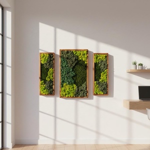 Set tablouri cu licheni stabilizati - casă & stil de viață - decorațiuni de casă - decorațiuni de pereți - tablou cu licheni - Artynos.ro