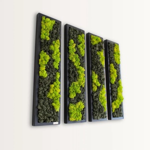 Tablou cu licheni stabilizati 50�20 cm - casă & stil de viață - decorațiuni de casă - decorațiuni de pereți - tablou cu licheni - Artynos.ro