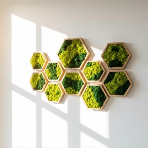 Hexagon cu licheni 25 cm, Casa & Stil de viata, Decoratiuni de casa, Decoratiuni de pereti, Tablou cu licheni, , ARTYNOS
