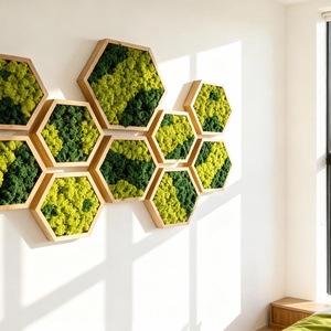 Hexagon cu licheni 25 cm - casă & stil de viață - decorațiuni de casă - decorațiuni de pereți - tablou cu licheni - Artynos.ro