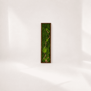 Tablou cu licheni stabilizati Aurea, 100 � 30 cm � decor vertical cu rama maro - Artynos.ro
