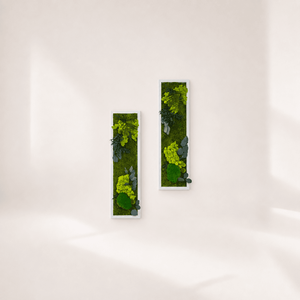 Tablou cu licheni stabilizati „Silva”, 100 × 20 cm – decor botanic vertical cu rama alba, Casa & Stil de viata, Decoratiuni de casa, Decoratiuni de pereti, Tablou cu licheni, Aranjament de flori, Verde luminos si frunze in tonuri cenusii, intr-o rama alba supla. „Silva” aduce pe perete o compoz..., ARTYNOS