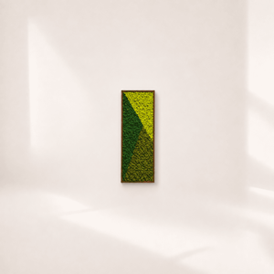 Tablou cu licheni stabilizati „Natura”, 100 × 50 cm – design geometric in nuante de verde, Casa & Stil de viata, Decoratiuni de casa, Decoratiuni de pereti, Tablou cu licheni, Aranjament de flori, Trei nuante de verde, unite prin diagonale. Tabloul „Natura” pune in prim-plan culoarea si geometri..., ARTYNOS