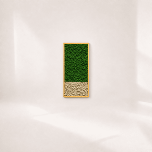 Tablou cu licheni stabilizati „Orbis”, 80 × 40 cm – design bicolor verde si crem, Casa & Stil de viata, Decoratiuni de casa, Decoratiuni de pereti, Tablou cu licheni, Aranjament de flori, Verde intens deasupra, crem la baza: „Orbis” construieste un decor vegetal din doua suprafete de cu..., ARTYNOS