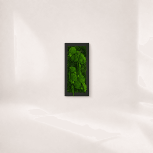Tablou cu licheni stabilizati Folium, 60 � 30 cm � decor vegetal cu rama neagra - Artynos.ro