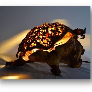 Fantezie - casă & stil de viață - lămpi și corpuri de iluminat - lampă de ambianță - Artynos.ro