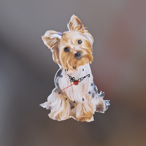 Yorkie val óra - Artynos.ro