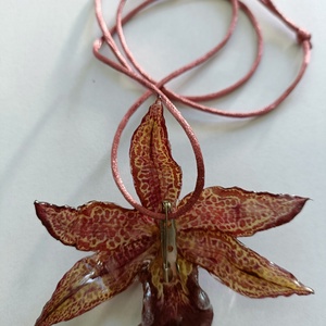 Pandantiv/Colier din Orhidee Cymbidium naturală  - bijuterii - coliere - pandative - Artynos.ro