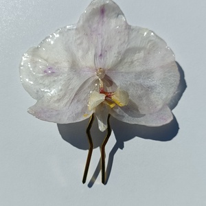 Clama realizata cu Orhidee Phalaenopsis naturala  - Artynos.ro