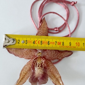 Pandantiv/Colier din Orhidee Cymbidium naturală  - bijuterii - coliere - pandative - Artynos.ro
