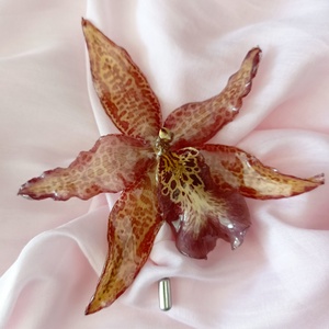 Brosa cu Orhidee Cymbidium, naturala conservata in rasina , Bijuterii, Brose, Confectionarea bijuteriilor, ARTYNOS