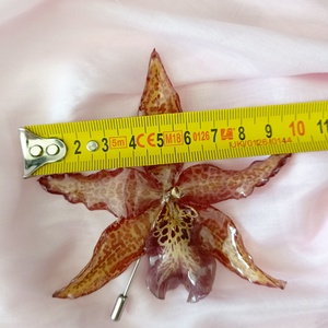 Broșă cu Orhidee Cymbidium, naturală conservată în rășină  - bijuterii - broșe - Artynos.ro