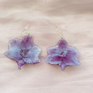 Cercei din mini Orhidee Phalaenopsis naturale  - bijuterii - cercei - cercei din rășină - Artynos.ro