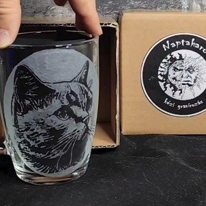 Cană de sticlă cu model de pisicuță  -  - Artynos.ro