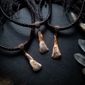 Colier talisman nomad cu dinte de vaca, , , ARTYNOS
