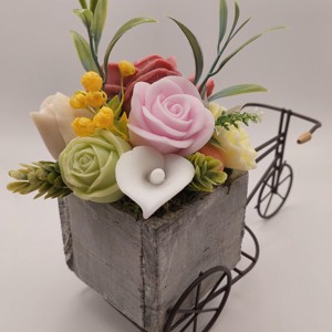 Soap blossoms pe o bicicleta, , , ARTYNOS
