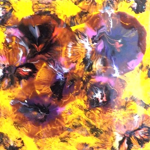 PanOvi