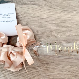 Elastic de păr Team Bride și pahar de șampanie -  - Artynos.ro
