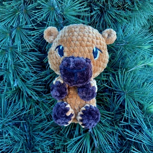 Capibara de plus - Artynos.ro