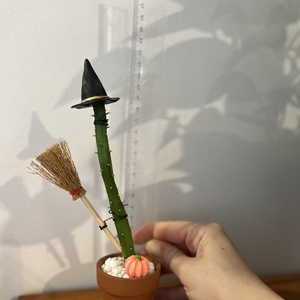 Cactus Vrăjitoare - casă & stil de viață - accesorii pentru decorat casa - halloween - tot ce ai nevoie pentru petrecere! - figurine halloween - Artynos.ro Cactus Vrăjitoare - casă & stil de viață - accesorii pentru decorat casa - halloween - tot ce ai nevoie pentru petrecere! - figurine halloween - Artynos.ro