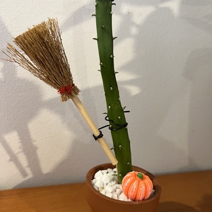Cactus Vrăjitoare  - casă & stil de viață - accesorii pentru decorat casa - halloween - tot ce ai nevoie pentru petrecere! - ornamente de halloween - Artynos.ro Cactus Vrăjitoare  - casă & stil de viață - accesorii pentru decorat casa - halloween - tot ce ai nevoie pentru petrecere! - ornamente de halloween - Artynos.ro