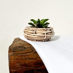 Ghiveci suculente - casă & stil de viață - accesorii pentru decorat casa - suport de flori - ghiveci și jardiniere - Artynos.ro