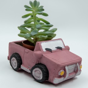 Camion de beton, camion de beton mauve suport pentru flori cu pictura personalizata, , , ARTYNOS