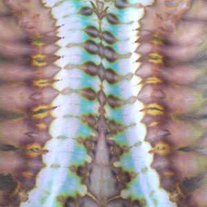 Earthbound Wings - Bluză bumbac vopsită manual - îmbrăcăminte și modă - haine damă - bluze damă - Artynos.ro