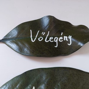 Card de plantare frunze de magnolie nume personalizat card decorativ -  - Artynos.ro
