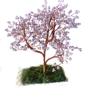 Copacei decorativi -  - Artynos.ro